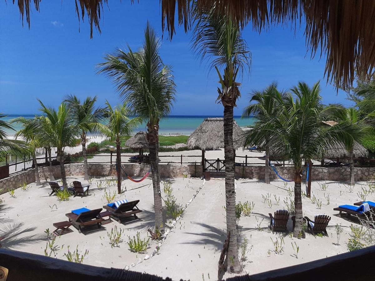 Beach Guesthouse Holbox Apartments & Suites Ngoại thất bức ảnh