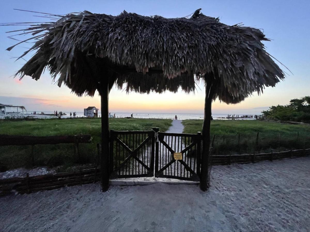 Beach Guesthouse Holbox Apartments & Suites Ngoại thất bức ảnh