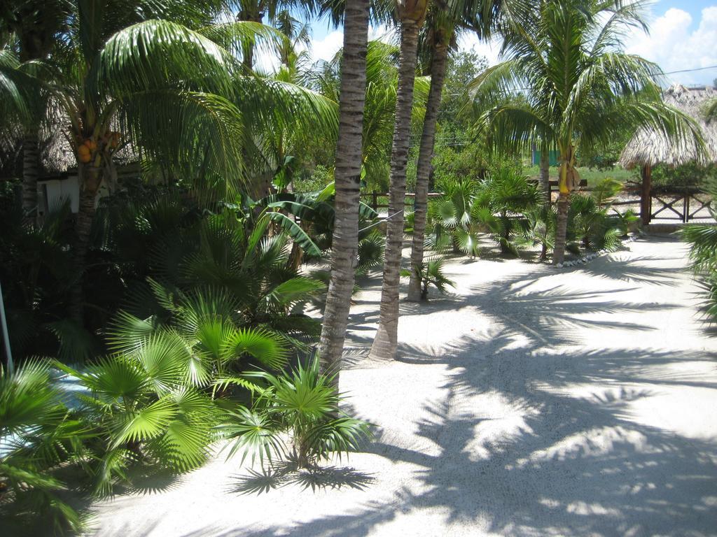 Beach Guesthouse Holbox Apartments & Suites Ngoại thất bức ảnh