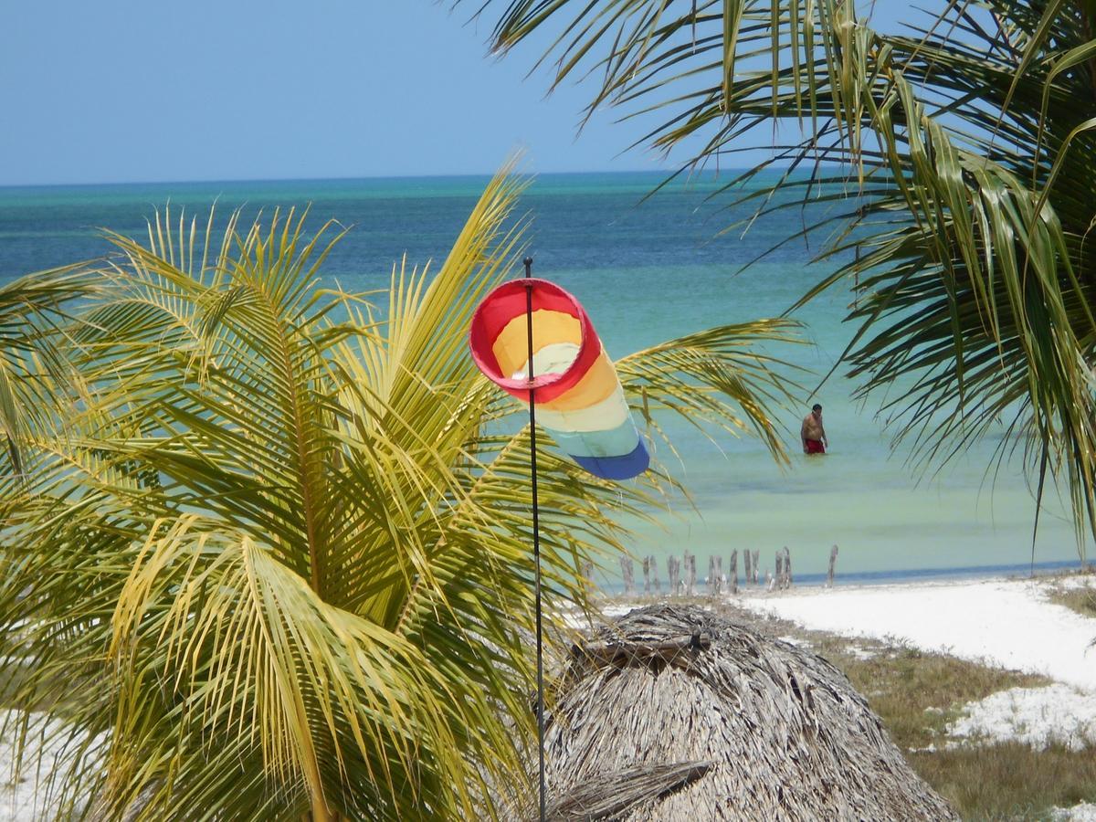 Beach Guesthouse Holbox Apartments & Suites Ngoại thất bức ảnh
