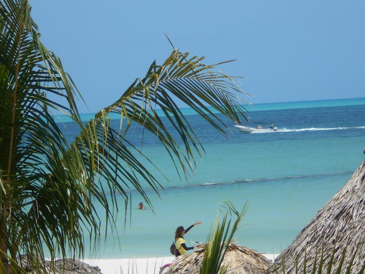 Beach Guesthouse Holbox Apartments & Suites Ngoại thất bức ảnh