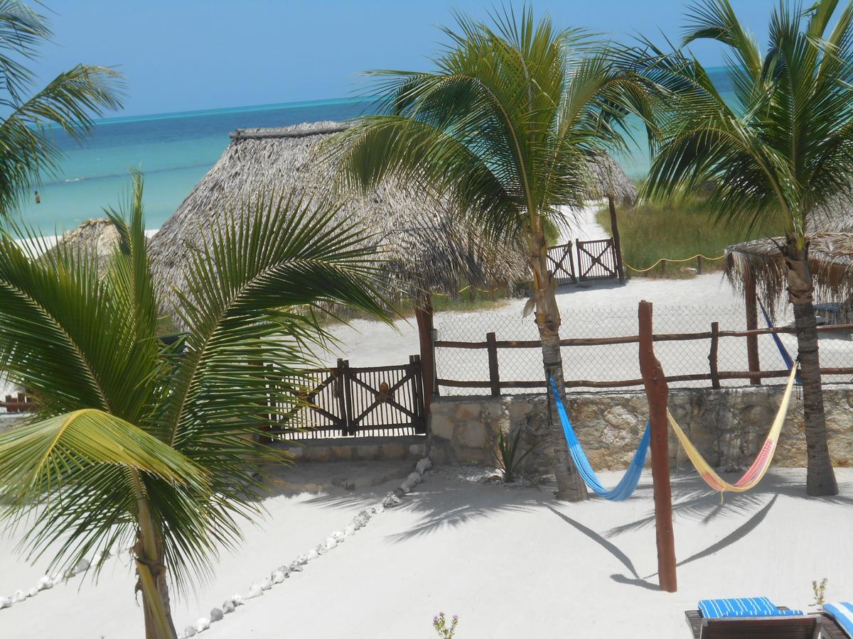 Beach Guesthouse Holbox Apartments & Suites Ngoại thất bức ảnh
