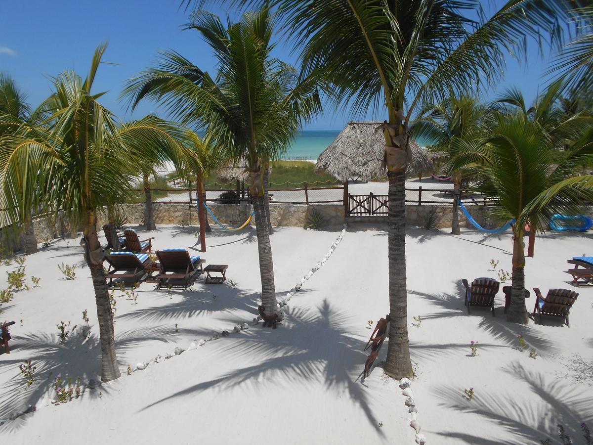 Beach Guesthouse Holbox Apartments & Suites Ngoại thất bức ảnh