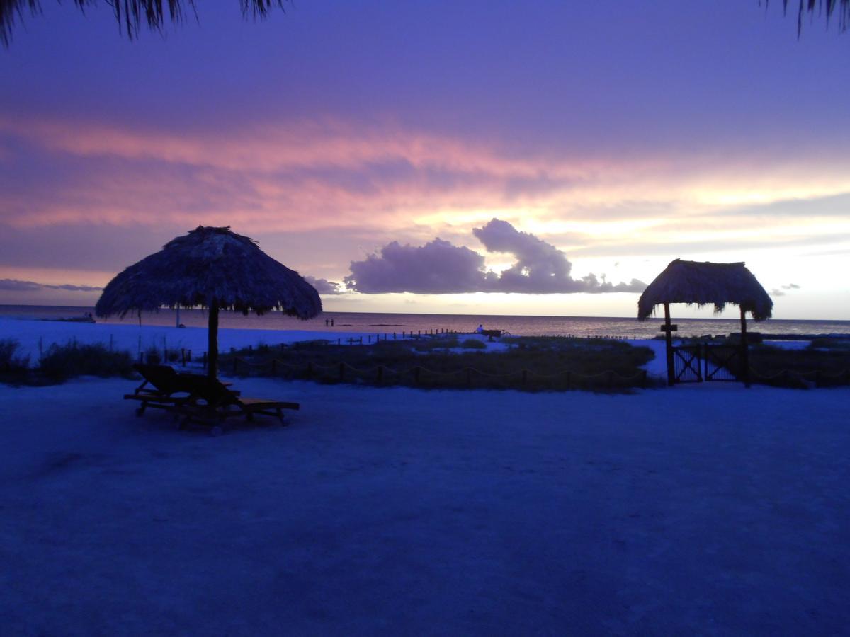 Beach Guesthouse Holbox Apartments & Suites Ngoại thất bức ảnh