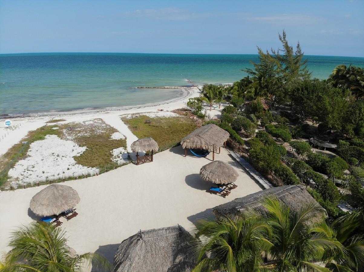 Beach Guesthouse Holbox Apartments & Suites Ngoại thất bức ảnh