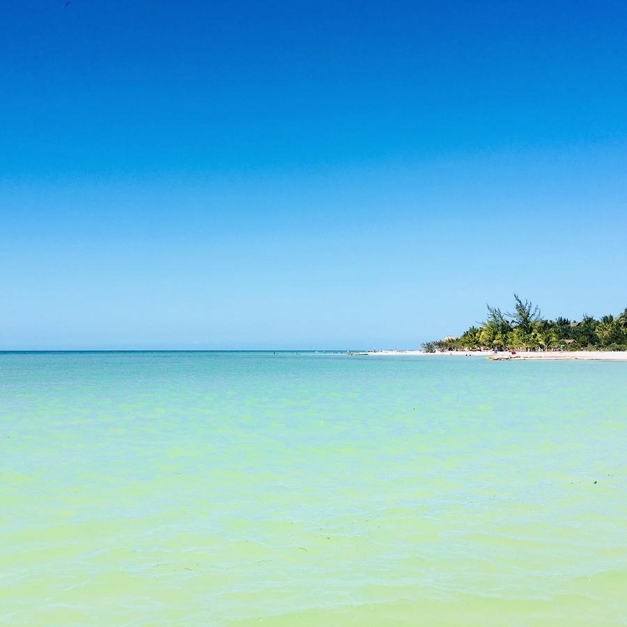 Beach Guesthouse Holbox Apartments & Suites Ngoại thất bức ảnh
